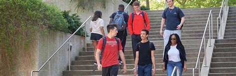 stony brook university niche